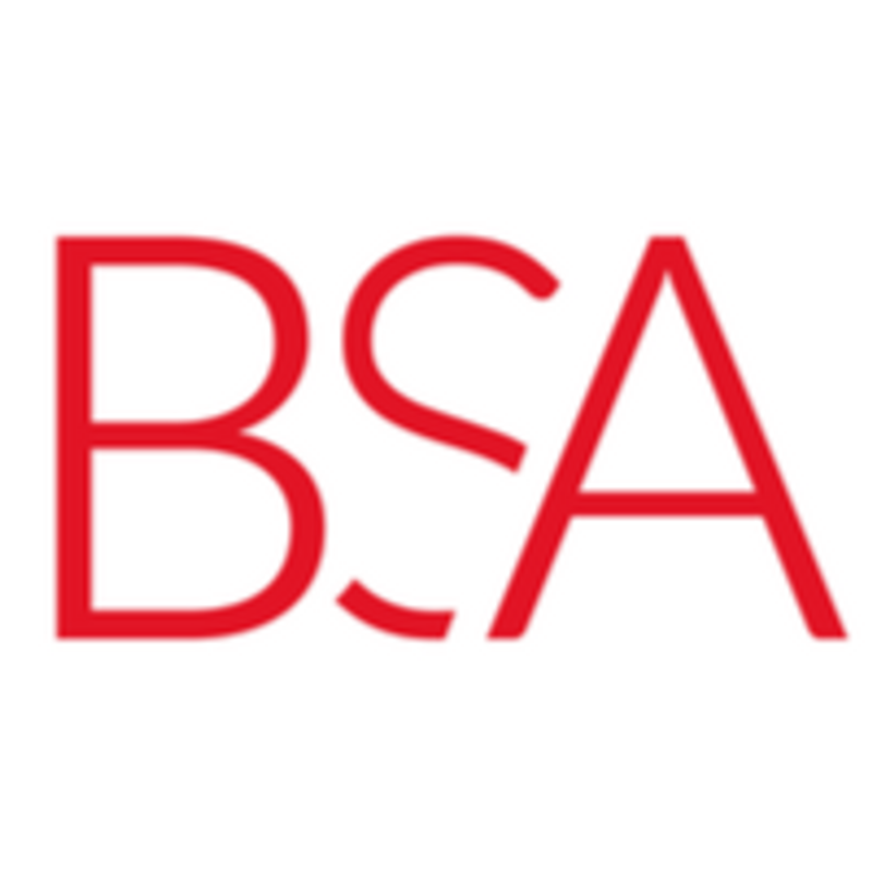 BSA LifeStructures