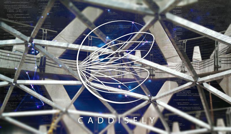 Caddisfly - Cover