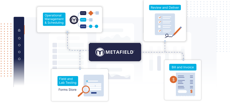 MetaField